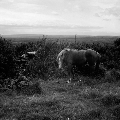 tomb in Commons North