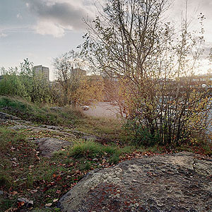 kuva