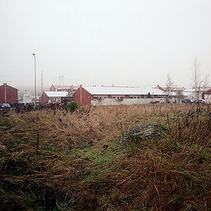 kuva