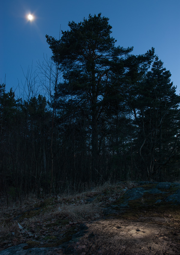 Virnamäen uhrikallio, Turku