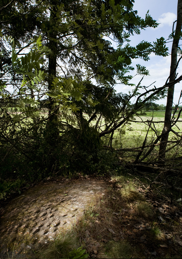 Halinen, uhrikallio, Turku