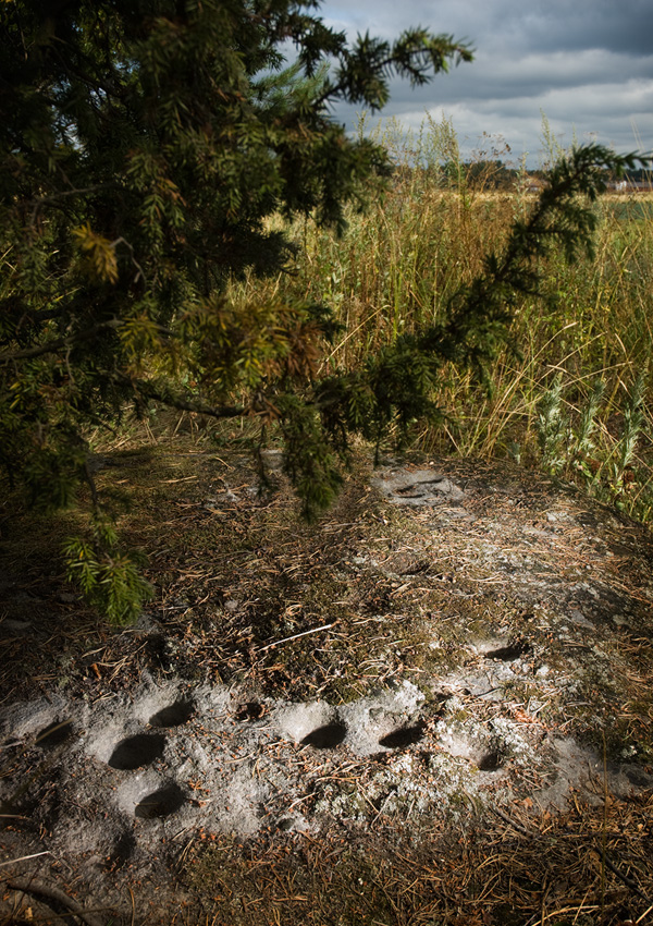 Saikola-Niemispään uhrikallio, Laitila