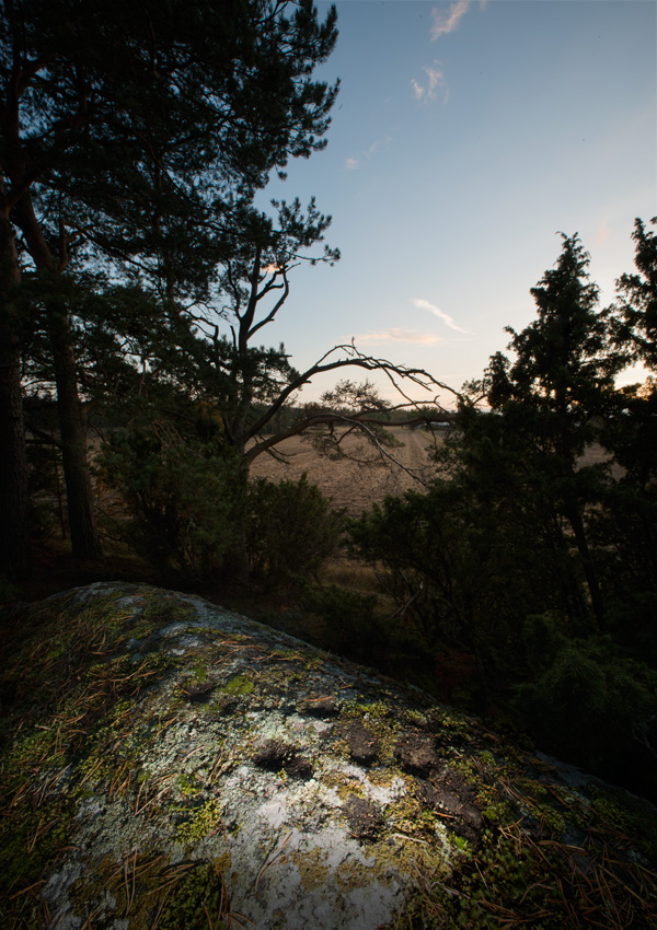 Isoheikkilän kuppikallio, Lieto