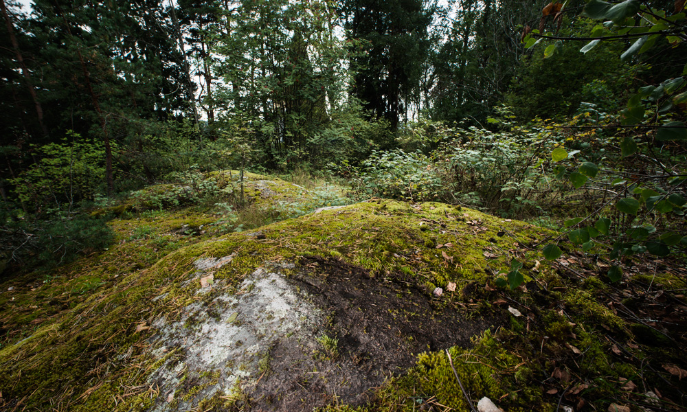 Muikunvuoren uhrikivet, Kaarina